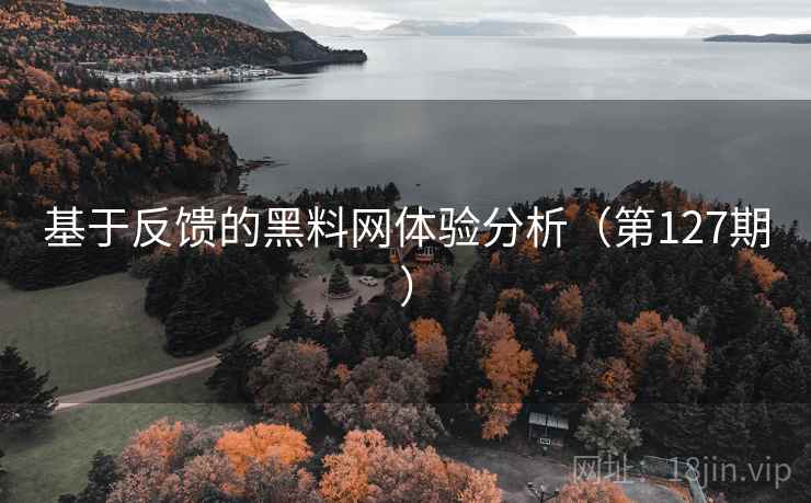 基于反馈的黑料网体验分析（第127期）